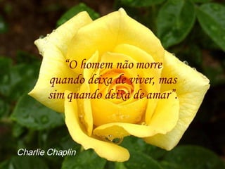 “ O homem não morre quando deixa de viver, mas sim quando deixa de amar”. Charlie Chaplin 