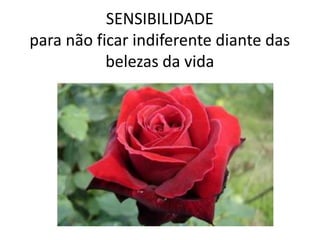 SENSIBILIDADE                                          para não ficar indiferente diante das belezas da vida