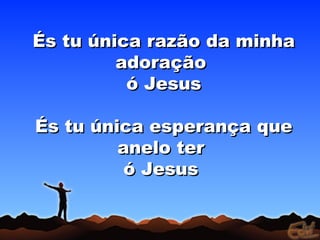 És tu única razão da minhaÉs tu única razão da minha
adoraçãoadoração
ó Jesusó Jesus
És tu única esperança queÉs tu única esperança que
anelo teranelo ter
ó Jesusó Jesus
 
