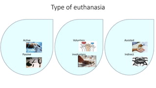 Type of euthanasia
Active
Passive
Voluntary
involuntary
Assisted
Indirect
 