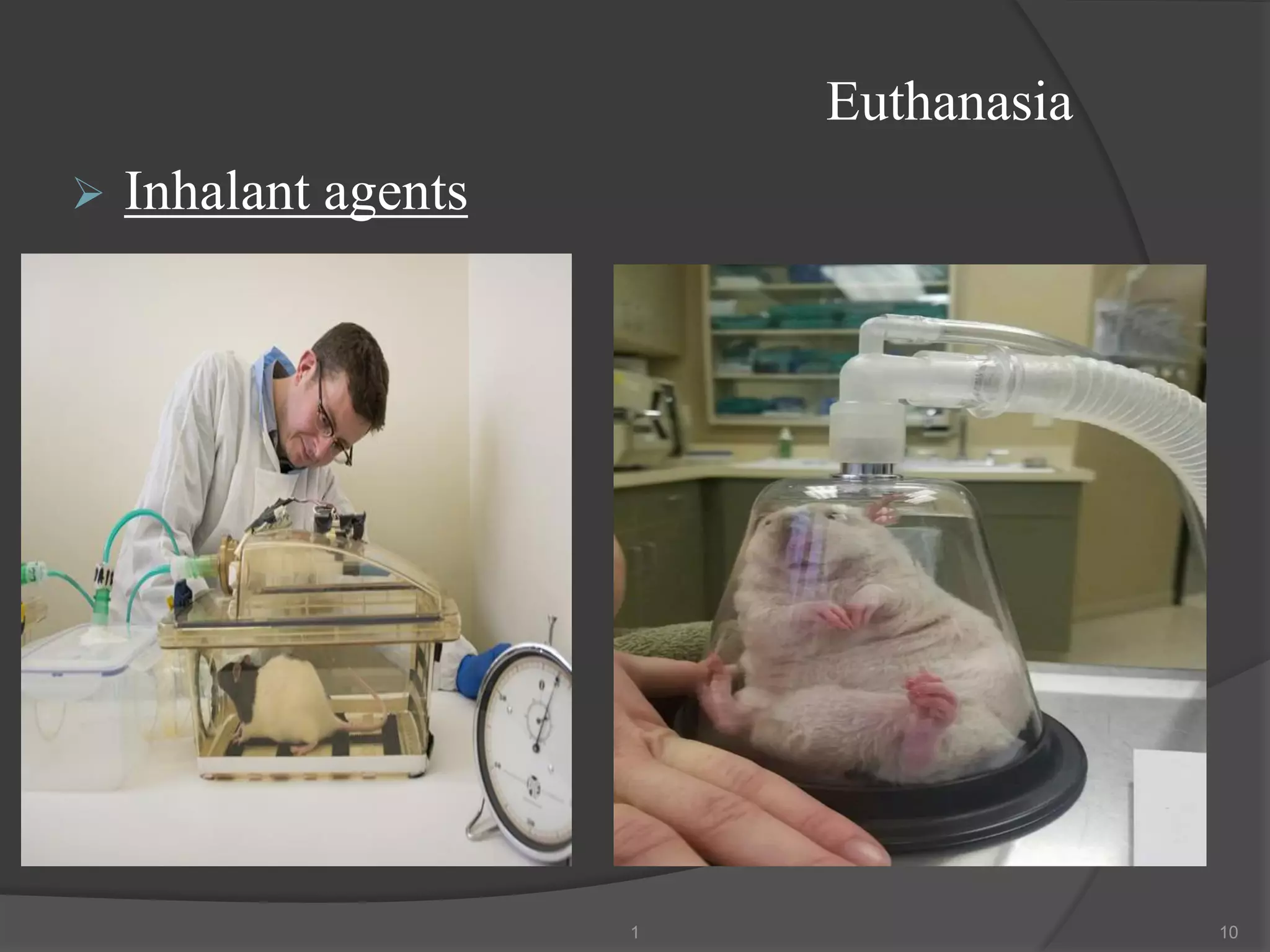 Euthanasia
➢ Inhalant agents
1 10
 