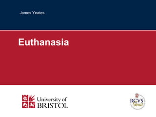 James Yeates

Euthanasia

 