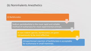 (b) Noninhalents Anesthetics
(i) Barbiturates
Sodium pentobarbital is the most rapid and reliable
method of euthanasia for most experimental animals.
In non-rodent species, barbiturates are given
intravenously to be most effective.
Intraperitoneal injection of barbiturates is acceptable
for euthanasia in small mammals.
 