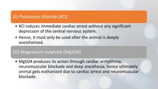 (ii) Potassium chloride (KCl)
• KCl induces immediate cardiac arrest without any significant
depression of the central nervous system.
• Hence, it must only be used after the animal is deeply
anesthetized.
(iii) Magnesium sulphate (MgSO4)
• MgSO4 produces its action through cardiac arrhythmia,
neuromuscular blockade and deep anesthesia, hence ultimately
animal gets euthanized due to cardiac arrest and neuromuscular
blockade.
 