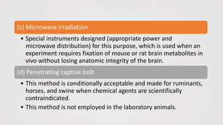 (c) Microwave irradiation
• Special instruments designed (appropriate power and
microwave distribution) for this purpose, which is used when an
experiment requires fixation of mouse or rat brain metabolites in
vivo without losing anatomic integrity of the brain.
(d) Penetrating captive bolt
• This method is conditionally acceptable and made for ruminants,
horses, and swine when chemical agents are scientifically
contraindicated.
• This method is not employed in the laboratory animals.
 