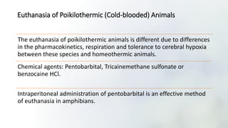 Euthanasia of Poikilothermic (Cold-blooded) Animals
The euthanasia of poikilothermic animals is different due to differences
in the pharmacokinetics, respiration and tolerance to cerebral hypoxia
between these species and homeothermic animals.
Chemical agents: Pentobarbital, Tricainemethane sulfonate or
benzocaine HCl.
Intraperitoneal administration of pentobarbital is an effective method
of euthanasia in amphibians.
 