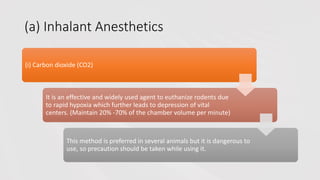 (a) Inhalant Anesthetics
(i) Carbon dioxide (CO2)
It is an effective and widely used agent to euthanize rodents due
to rapid hypoxia which further leads to depression of vital
centers. (Maintain 20% -70% of the chamber volume per minute)
This method is preferred in several animals but it is dangerous to
use, so precaution should be taken while using it.
 