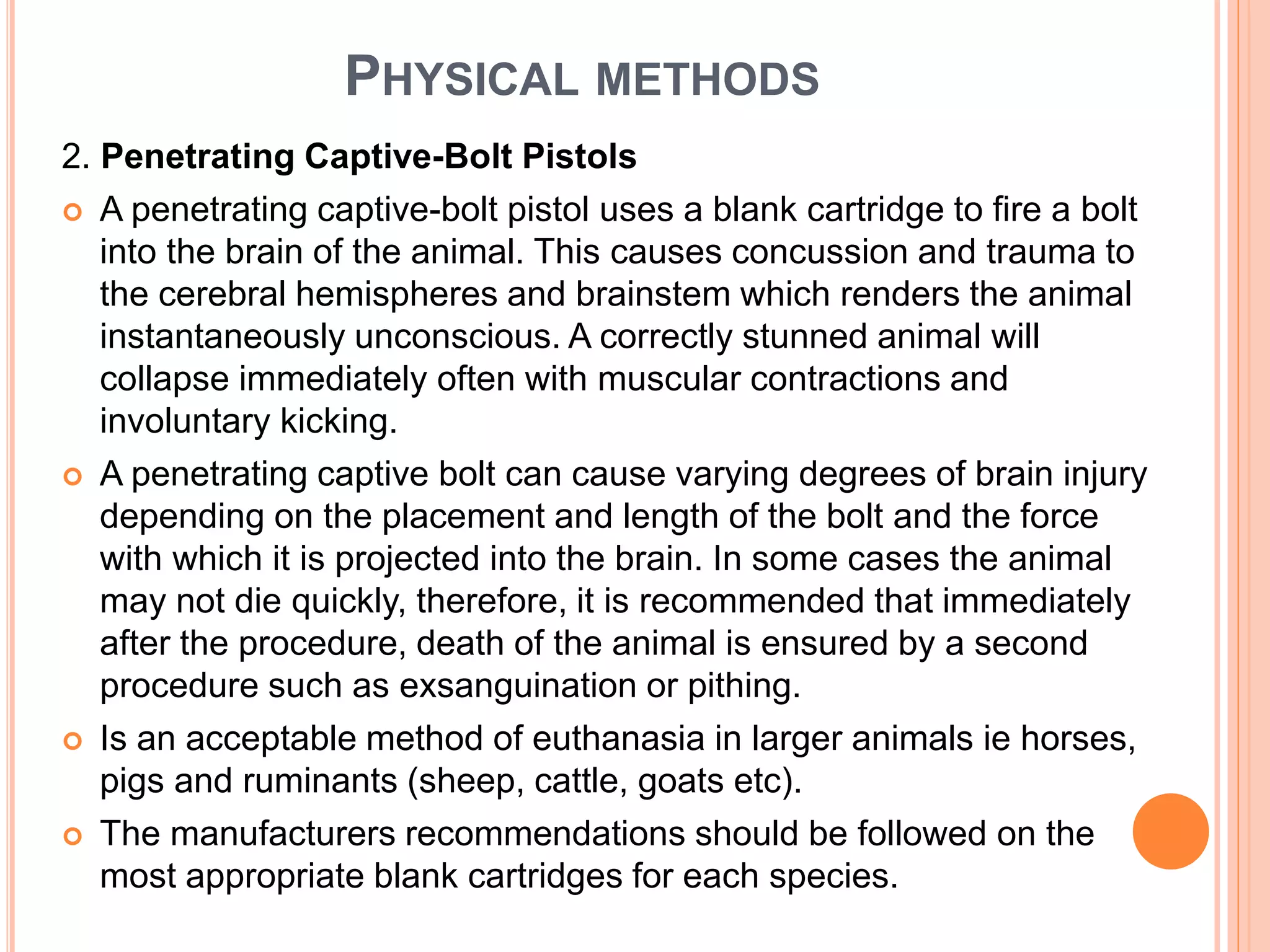 PHYSICAL METHODS
2. Penetrating Captive-Bolt Pistols
 A penetrating captive-bolt pistol uses a blank cartridge to fire a bolt
into the brain of the animal. This causes concussion and trauma to
the cerebral hemispheres and brainstem which renders the animal
instantaneously unconscious. A correctly stunned animal will
collapse immediately often with muscular contractions and
involuntary kicking.
 A penetrating captive bolt can cause varying degrees of brain injury
depending on the placement and length of the bolt and the force
with which it is projected into the brain. In some cases the animal
may not die quickly, therefore, it is recommended that immediately
after the procedure, death of the animal is ensured by a second
procedure such as exsanguination or pithing.
 Is an acceptable method of euthanasia in larger animals ie horses,
pigs and ruminants (sheep, cattle, goats etc).
 The manufacturers recommendations should be followed on the
most appropriate blank cartridges for each species.
 