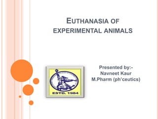 EUTHANASIA OF
EXPERIMENTAL ANIMALS
Presented by:-
Navneet Kaur
M.Pharm (ph’ceutics)
 
