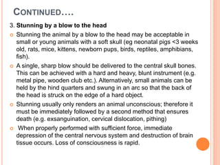 Euthanasia of experimental animals | PPTX