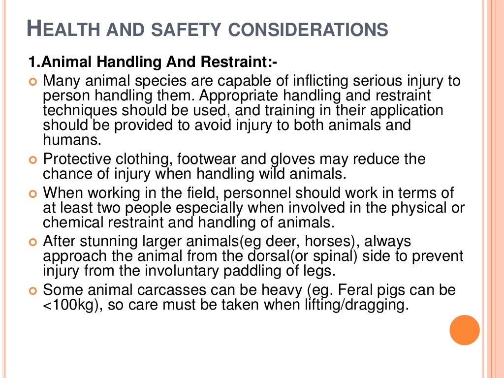 Euthanasia of experimental animals