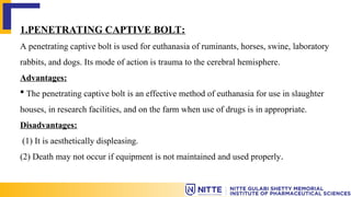 EUTHANASIA SEMINAR for Advanced Pharmacolgy | PPT