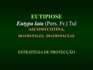 1
EUTIPIOSE
Eutypa lata (Pers. Fr.) Tul
ASCOMYCOTINA,
DIATRYPALES, DIATRYPACEAE
ESTRATÉGIA DE PROTECÇÃO
 