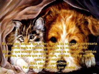 Eu tive que aceitar que o meu apego às coisas só apressaria ainda mais a minha despedida e a minha partida. Eu tive que aceitar que meus animais de estimação, minhas plantas, a árvore que eu plantara, minhas flores e minhas aves eram mortais.  Eles não me pertenciam! Foi difícil, mas eu tive que aceitar. 