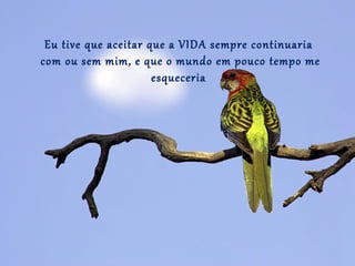 Eu tive que aceitar que a VIDA sempre continuaria
com ou sem mim, e que o mundo em pouco tempo me
                      esqueceria
 