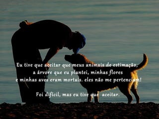 Eu tive que aceitar que meus animais de estimação,
       a árvore que eu plantei, minhas flores
e minhas aves eram mortais. eles não me pertenciam!

        Foi difícil, mas eu tive que aceitar.
 