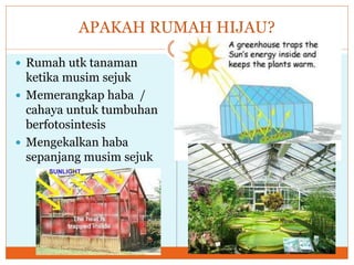 APAKAH RUMAH HIJAU?
 Rumah utk tanaman
ketika musim sejuk
 Memerangkap haba /
cahaya untuk tumbuhan
berfotosintesis
 Mengekalkan haba
sepanjang musim sejuk
 