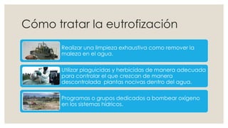 Cómo tratar la eutrofización 
Realizar una limpieza exhaustiva como remover la 
maleza en el agua. 
Utilizar plaguicidas y herbicidas de manera adecuada 
para controlar el que crezcan de manera 
descontrolada plantas nocivas dentro del agua. 
Programas o grupos dedicados a bombear oxígeno 
en los sistemas hídricos. 
 