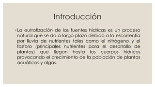 Introducción 
◦ La eutrofización de las fuentes hídricas es un proceso 
natural que se da a largo plazo debido a la escorrentía 
por lluvia de nutrientes tales como el nitrógeno y el 
fosforo (principales nutrientes para el desarrollo de 
plantas) que llegan hasta los cuerpos hídricos 
provocando el crecimiento de la población de plantas 
acuáticas y algas. 
 