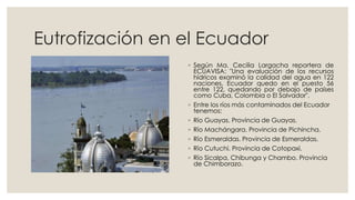 Eutrofización en el Ecuador 
◦ Según Ma. Cecilia Largacha reportera de 
ECUAVISA: "Una evaluación de los recursos 
hídricos examinó la calidad del agua en 122 
naciones, Ecuador quedo en el puesto 56 
entre 122, quedando por debajo de países 
como Cuba, Colombia o El Salvador". 
◦ Entre los ríos más contaminados del Ecuador 
tenemos: 
◦ Río Guayas. Provincia de Guayas. 
◦ Río Machángara. Provincia de Pichincha. 
◦ Río Esmeraldas. Provincia de Esmeraldas. 
◦ Río Cutuchi. Provincia de Cotopaxi. 
◦ Río Sicalpa, Chibunga y Chambo. Provincia 
de Chimborazo. 
 