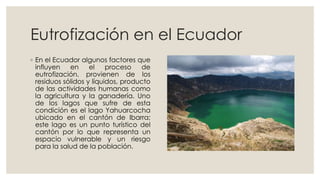 Eutrofización en el Ecuador 
◦ En el Ecuador algunos factores que 
influyen en el proceso de 
eutrofización, provienen de los 
residuos sólidos y líquidos, producto 
de las actividades humanas como 
la agricultura y la ganadería. Uno 
de los lagos que sufre de esta 
condición es el lago Yahuarcocha 
ubicado en el cantón de Ibarra; 
este lago es un punto turístico del 
cantón por lo que representa un 
espacio vulnerable y un riesgo 
para la salud de la población. 
 