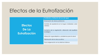 Efectos de la Eutrofización 
Efectos 
De La 
Eutrofización 
Prohibición y limitación del uso del agua 
Emanación de olores putrefactos 
Cambio de apariencia en el agua: turbiedad, color 
verdoso 
Aumento de la vegetación, alteración del equilibrio 
ecológico 
Alteración organoléptica y problemas para la salud 
Disminución de la vida acuática 
Poca oxigenación en los sistemas hídricos 
 