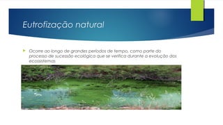 Eutrofização natural
 Ocorre ao longo de grandes períodos de tempo, como parte do
processo de sucessão ecológica que se verifica durante a evolução dos
ecossistemas
 