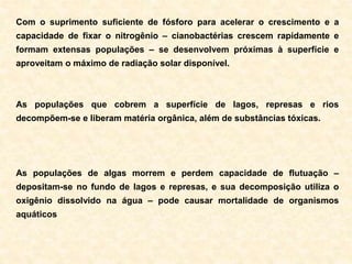 Com o suprimento suficiente de fósforo para acelerar o crescimento e a
capacidade de fixar o nitrogênio – cianobactérias crescem rapidamente e
formam extensas populações – se desenvolvem próximas à superfície e
aproveitam o máximo de radiação solar disponível.
As populações que cobrem a superfície de lagos, represas e rios
decompõem-se e liberam matéria orgânica, além de substâncias tóxicas.
As populações de algas morrem e perdem capacidade de flutuação –
depositam-se no fundo de lagos e represas, e sua decomposição utiliza o
oxigênio dissolvido na água – pode causar mortalidade de organismos
aquáticos
 