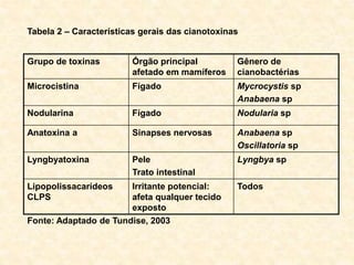 Grupo de toxinas Órgão principal
afetado em mamíferos
Gênero de
cianobactérias
Microcistina Fígado Mycrocystis sp
Anabaena sp
Nodularina Fígado Nodularia sp
Anatoxina a Sinapses nervosas Anabaena sp
Oscillatoria sp
Lyngbyatoxina Pele
Trato intestinal
Lyngbya sp
Lipopolissacarídeos
CLPS
Irritante potencial:
afeta qualquer tecido
exposto
Todos
Tabela 2 – Características gerais das cianotoxinas
Fonte: Adaptado de Tundise, 2003
 