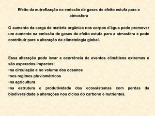Efeito da eutrofização na emissão de gases de efeito estufa para a
atmosfera
O aumento da carga de matéria orgânica nos corpos d’água pode promover
um aumento na emissão de gases de efeito estufa para a atmosfera e pode
contribuir para a alteração da climatologia global.
Essa alteração pode levar a ocorrência de eventos climáticos extremos e
são esperados impactos:
•na circulação e no volume dos oceanos
•nos regimes pluviométricos
•na agricultura
•na estrutura e produtividade dos ecossistemas com perdas da
biodiversidade e alterações nos ciclos do carbono e nutrientes.
 