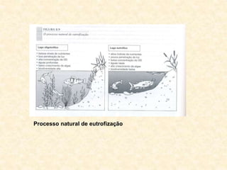 Processo natural de eutrofização
 