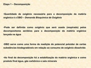 Etapa 1 – Decomposição
•Quantidade de oxigênio necessária para a decomposição da matéria
orgânica é a DBO – Demanda Bioquímica de Oxigênio
•Pode ser definida como oxigênio que será usado (respirado) pelos
decompositores aeróbios para a decomposição da matéria orgânica
lançada na água
•DBO serve como uma forma de medição do potencial poluidor de certas
substâncias biodegradáveis em relação ao consumo de oxigênio dissolvido
•Ao final da decomposição há a estabilização da matéria orgânica e como
produto final água, gás carbônico e sais minerais
 