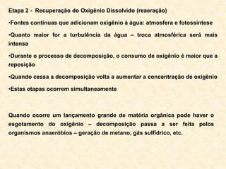 Etapa 2 - Recuperação do Oxigênio Dissolvido (reaeração)
•Fontes contínuas que adicionam oxigênio à água: atmosfera e fotossíntese
•Quanto maior for a turbulência da água – troca atmosférica será mais
intensa
•Durante o processo de decomposição, o consumo de oxigênio é maior que a
reposição
•Quando cessa a decomposição volta a aumentar a concentração de oxigênio
•Estas etapas ocorrem simultaneamente
Quando ocorre um lançamento grande de matéria orgânica pode haver o
esgotamento do oxigênio – decomposição passa a ser feita pelos
organismos anaeróbios – geração de metano, gás sulfídrico, etc.
 