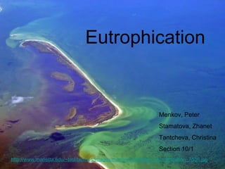 Eutrophication http://www.marietta.edu/~ biol/biomes/images/mangroves/florida_eutrophication_7536.jpg   Menkov, Peter Stamatova, Zhanet Tantcheva, Christina Section 10/1 