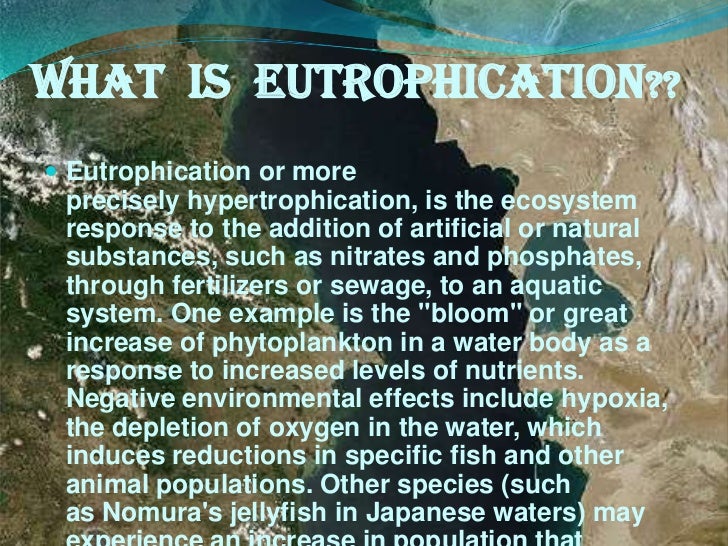Eutrophication