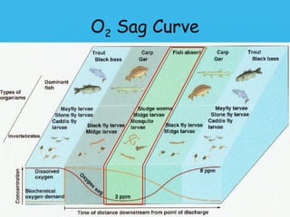 O2 Sag Curve
 
