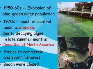 • 1950-60s -- Explosion of
 blue-green algae population
• 1970s -- much of central
  basin was anoxic
 due to decaying algae
  in late summer months
• Dead Sea of North America
• Stress to commercial
  and sport fisheries
• Beach were closed
 