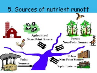 5. Sources of nutrient runoff
 