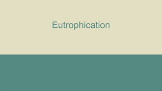 Eutrophication
 