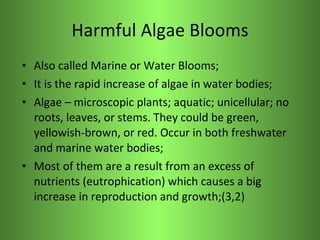 Harmful Algae Blooms <ul><li>Also called Marine or Water Blooms; </li></ul><ul><li>It is the rapid increase of algae in wa...
