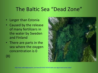 The Baltic Sea “Dead Zone” <ul><li>Larger than Estonia </li></ul><ul><li>Caused by the release of many fertilizers in the ...