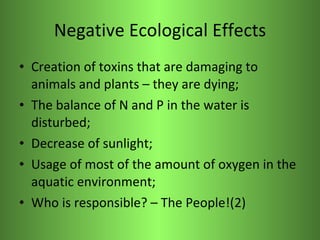 Negative Ecological Effects <ul><li>Creation of toxins that are damaging to animals and plants – they are dying; </li></ul...