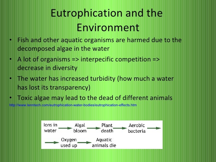 Eutrophication1