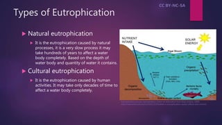 Eutrophicationakthabroshan PPT