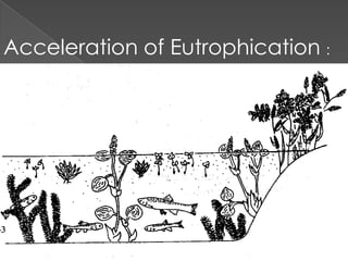Eutrophication ppt | PPTX