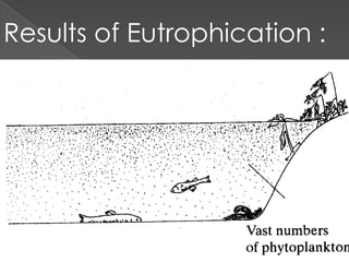 Eutrophication ppt | PPTX