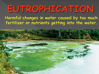 Eutrophication ppt | PPTX