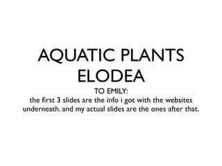 AQUATIC PLANTS
       ELODEA
                        TO EMILY:
  the ﬁrst 3 slides are the info i got with the websites
underneath. and my actual slides are the ones after that.
 