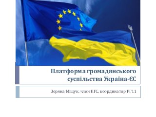 Платформа громадянського
суспільства Україна-ЄС
Зоряна Міщук, член ПГС, координатор РГ11
 