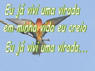 Eu vou viver uma virada